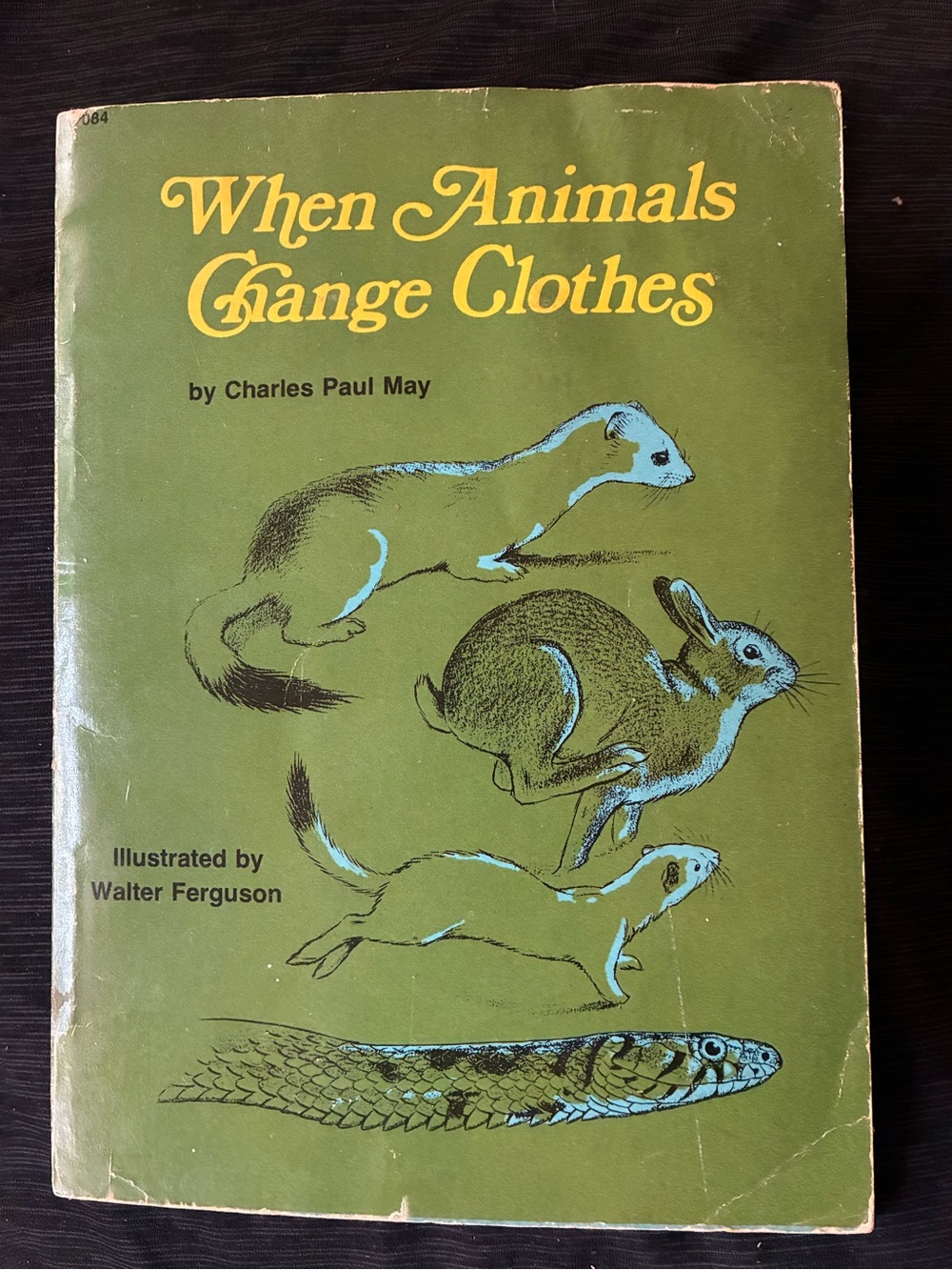 When Animals Change Clothes Illustrated Book - Green Cover